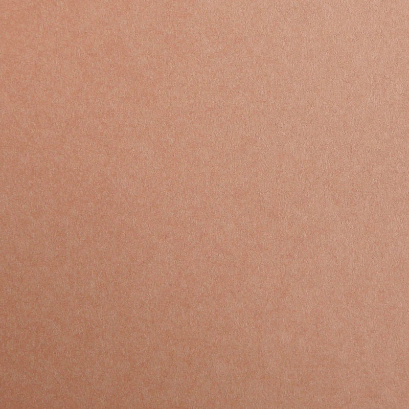 Clairefontaine - Maya Cardboard 25 Sheets Toys & Games Light Brown 8.25x11.75in