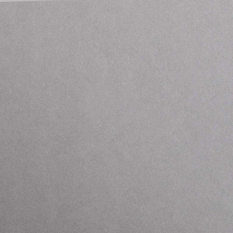 Clairefontaine - Maya Cardboard 25 Sheets Toys & Games Light Gray1 19.7x27.6in