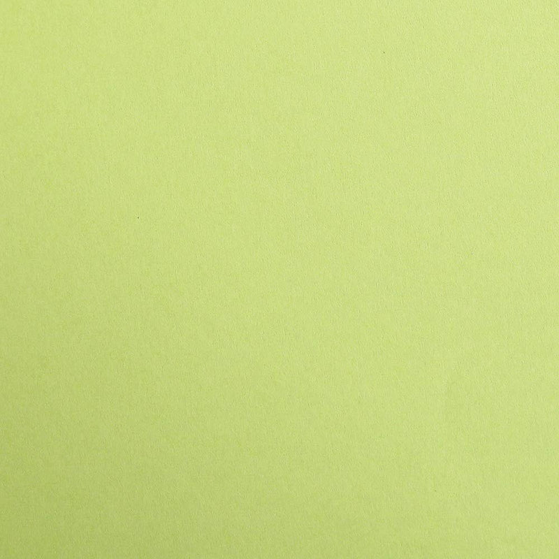 Clairefontaine - Maya Cardboard 25 Sheets Toys & Games Moss Green 19.7x27.6in