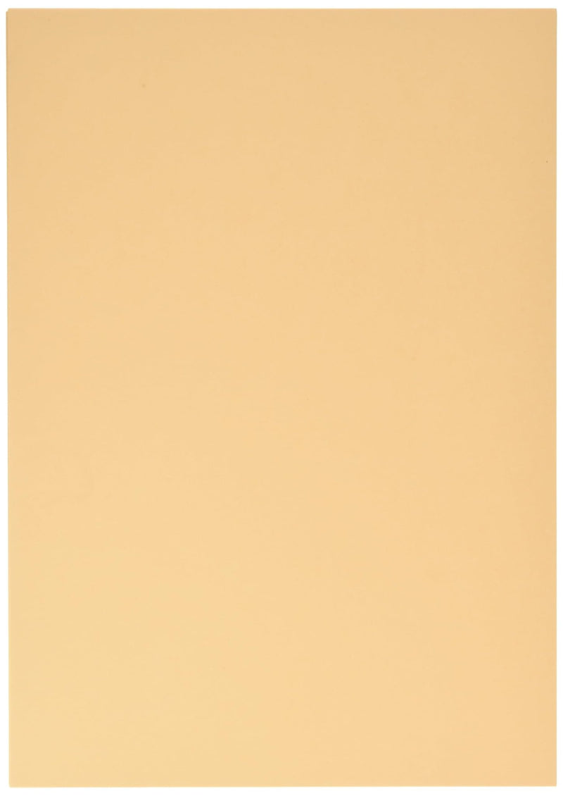 Clairefontaine - Maya Cardboard 25 Sheets Toys & Games Purple 8.25x11.75in