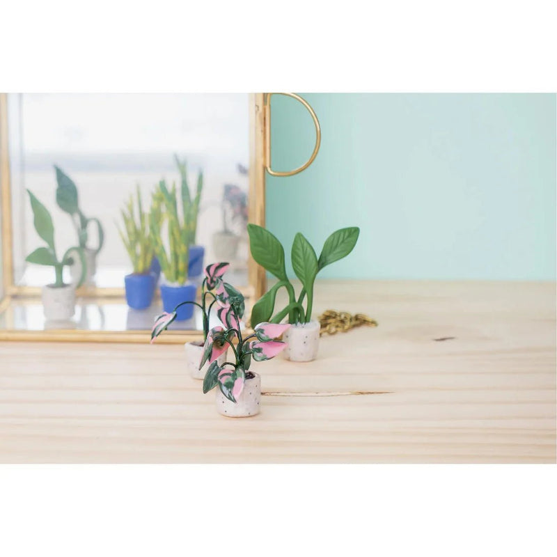 Clairefontaine - Polymer clay starter kit mini plants Arts & Crafts