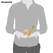 Clairefontaine - Small Animal Dinosaur Arts & Crafts