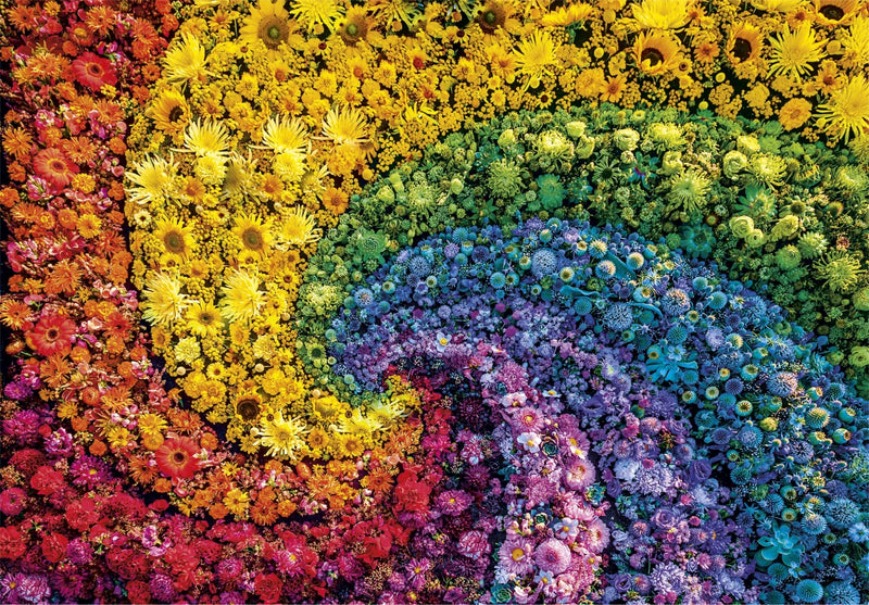 Clementoni - PZ1000: COLORBOOM: WHIRL Games & Toys