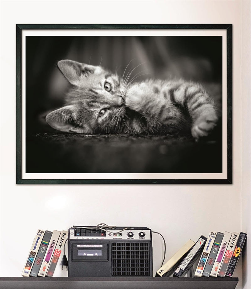 Clementoni - PZ1000: KITTY Games & Toys