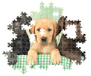 Clementoni - PZ1000:THREE LABS Games & Toys