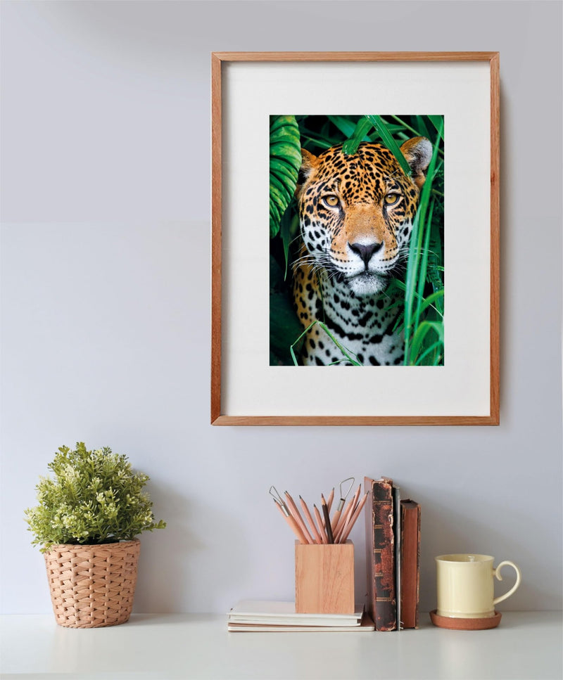 Clementoni - PZ500: JAGUAR IN THE JUNGLE Games & Toys