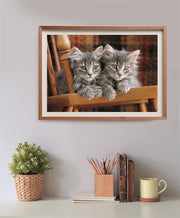 Clementoni - PZ500: KITTENS Games & Toys