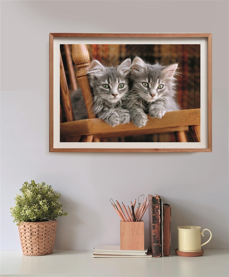 Clementoni - PZ500: KITTENS Games & Toys