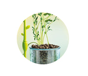 Clementoni - SCIENCE & JEU: MINI SERRE Games & Toys