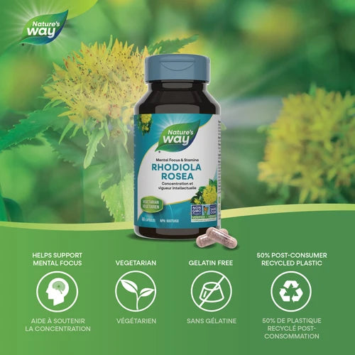 Nature's Way - Rhodiola Rosea