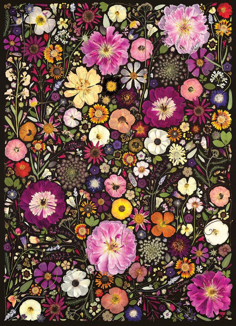 Cobble Hill - Flower Press: Little Hollow & Red Daisy | 500 Piece Games & Toys