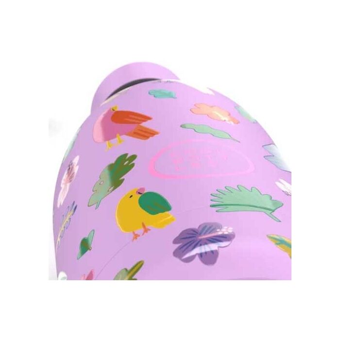 Cool Bottles - Kids 500ml -Discovery Series - Fly Free