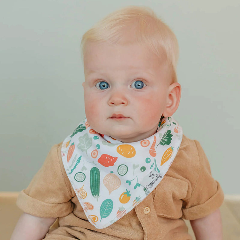 Copper Pearl - 4 - Pack Baby Bandana Bibs Baby & Toddler Adventure Veggies