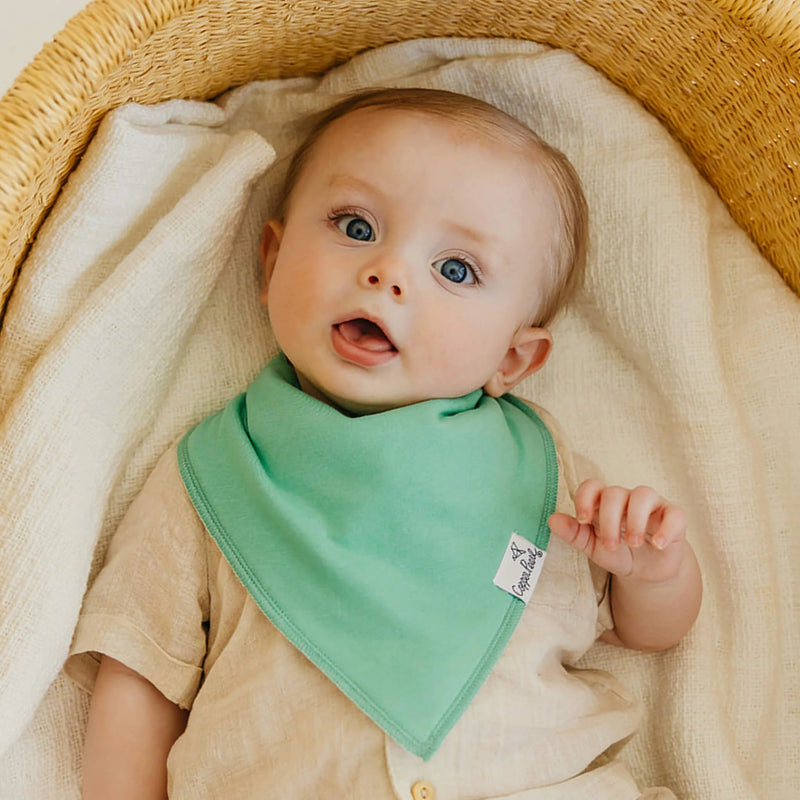 Copper Pearl - 4 - Pack Baby Bandana Bibs Baby & Toddler Adventure Veggies