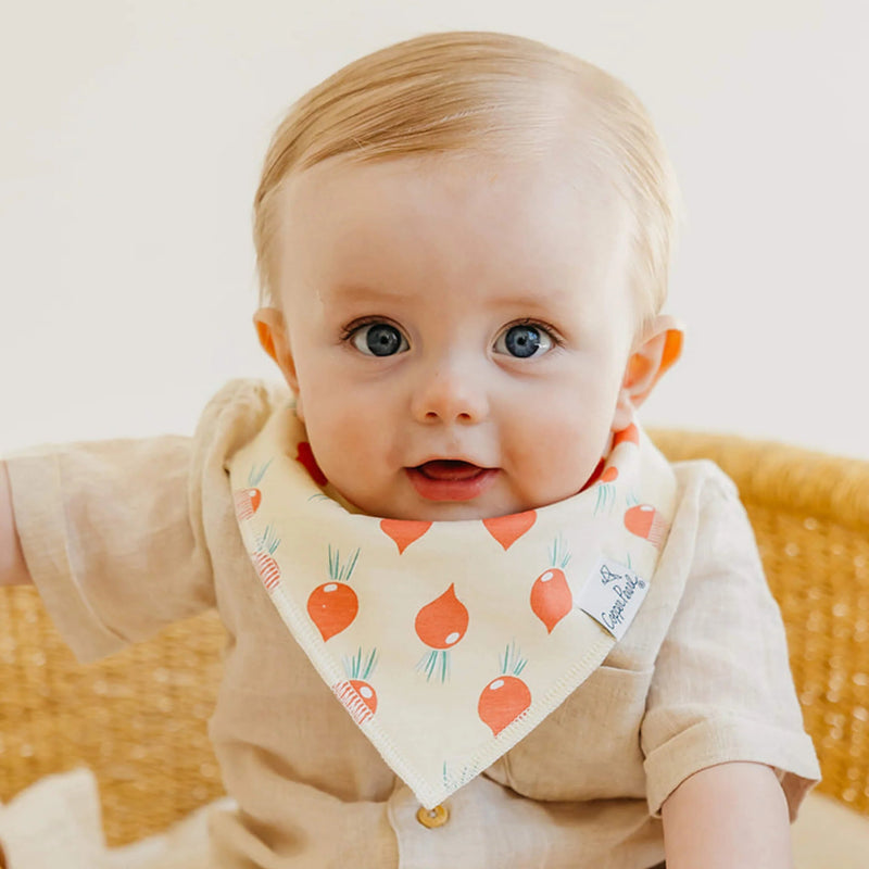 Copper Pearl - 4 - Pack Baby Bandana Bibs Baby & Toddler Adventure Veggies