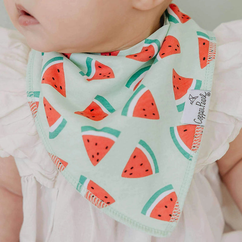 Copper Pearl - 4 - Pack Baby Bandana Bibs Baby & Toddler Floral Clementine