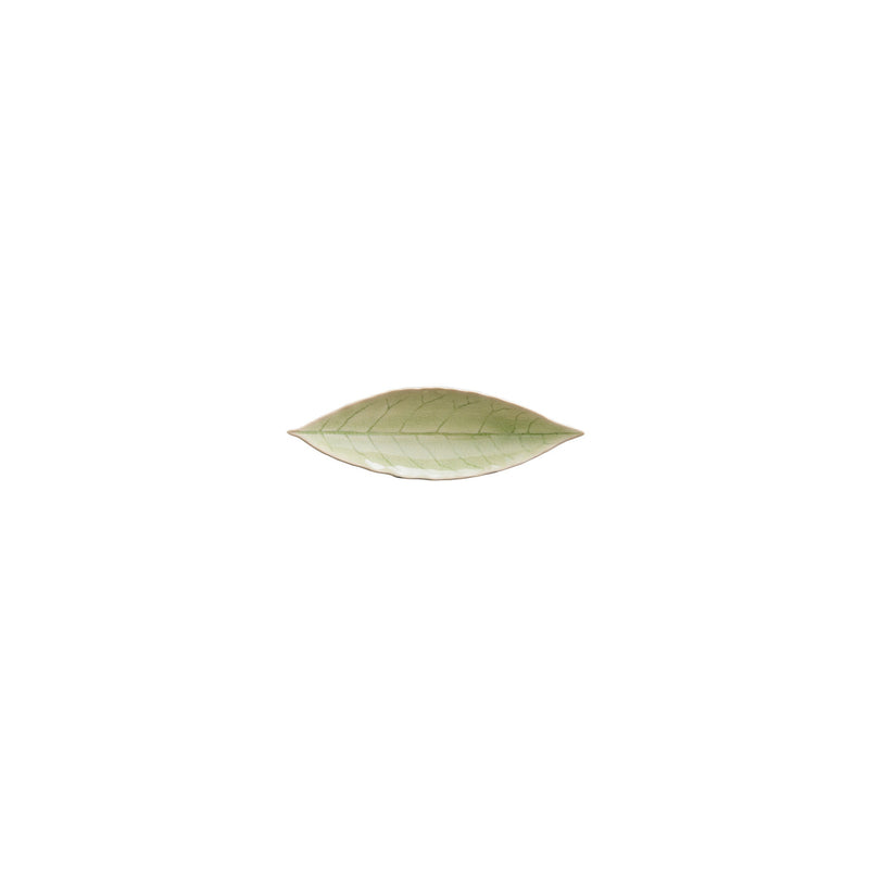 Costa Nova - Riviera Vert Frais Laurel Leaf Home & Kitchen