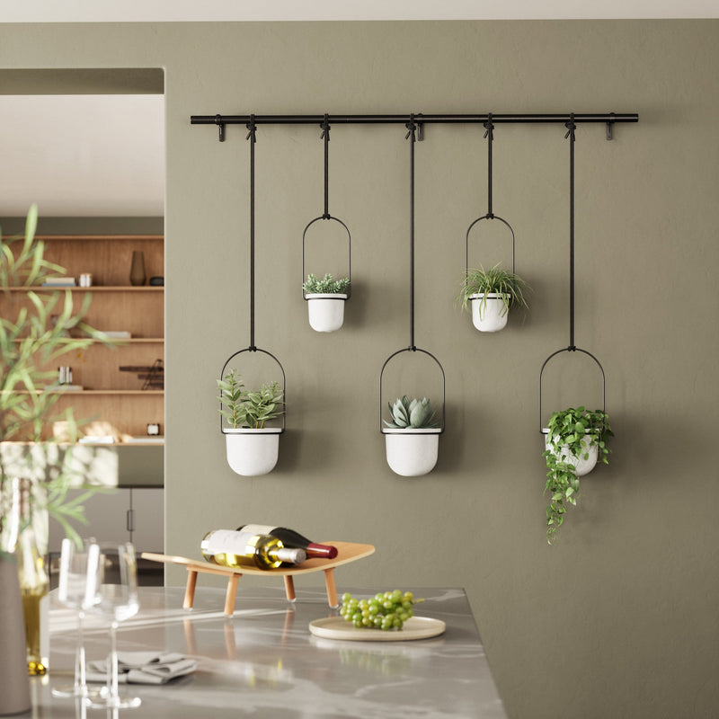 Triflora Hanging Planters, Set of 5 - image 9