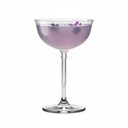 Cuisivin - Palette Coupe 215ml/7.25oz 6pk BB Home & Kitchen