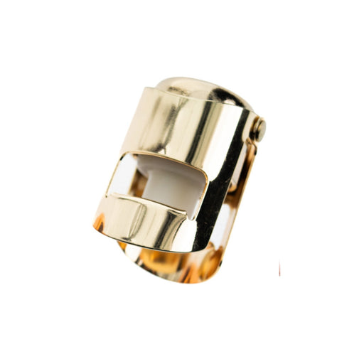 Cuisivin - Sentinel Champagne Stopper Gold – Blister Home & Kitchen