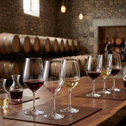 Cuisivin - Universal Tasting Glass 300 ml/10.25oz - 6pk WB Home & Kitchen