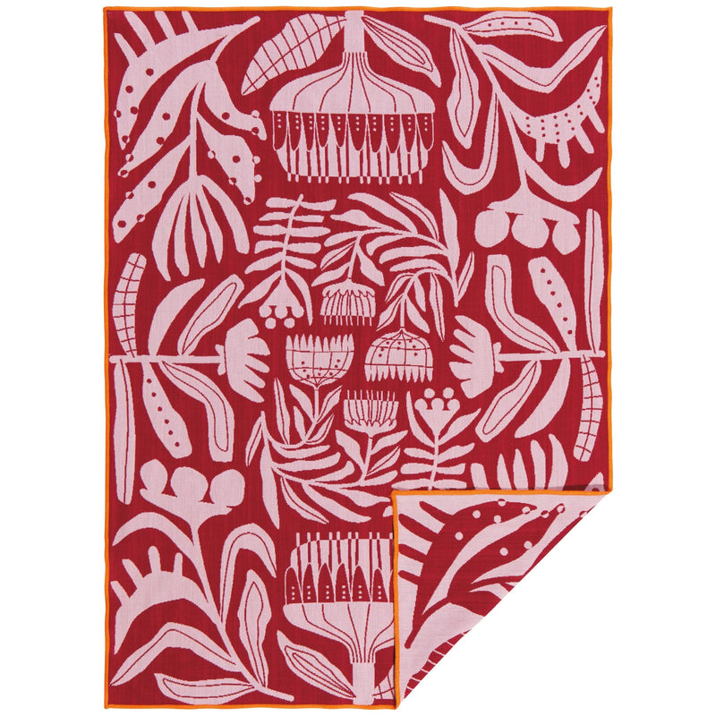 Danica Studio - Venus Double Cloth Dishtowel Home & Kitchen