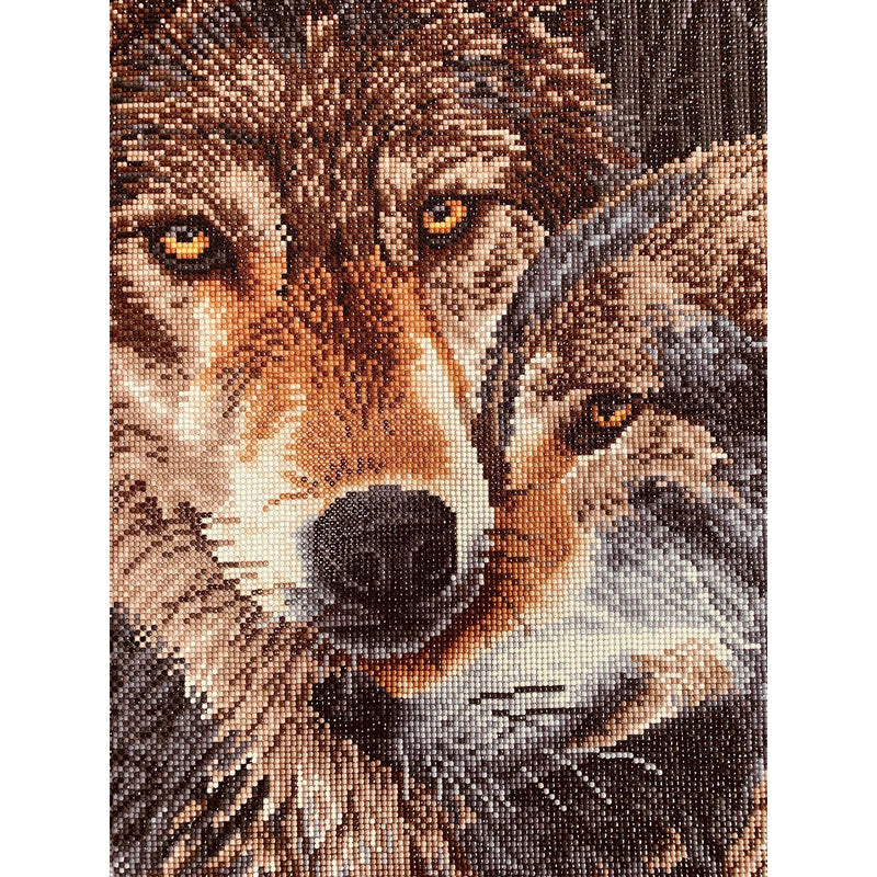 DIAMOND DOTZ - Muzzle Nuzzle 50x55 Toys & Games