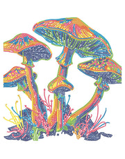 DIAMOND DOTZ - NEON MUSHROOMS (17.1" x 21.1") Arts & Crafts