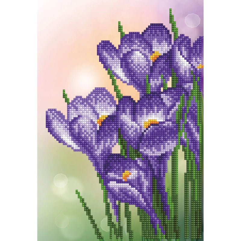 DIAMOND DOTZ - SPRING CROCUS (12.6" x 8.66" x 32cm x 22xm) Arts & Crafts