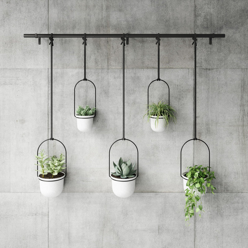 Triflora Hanging Planters, Set of 5 - image 8