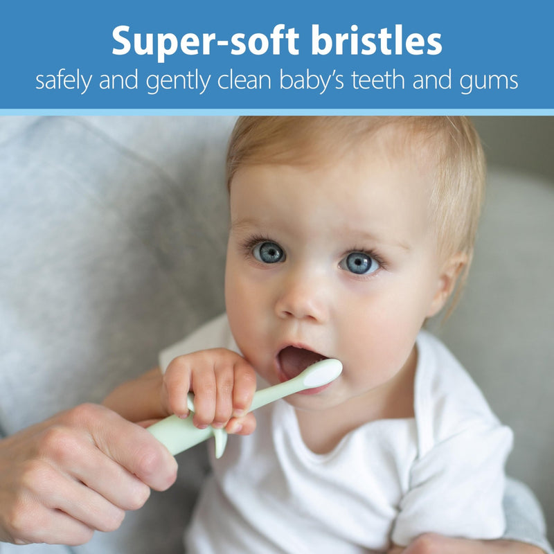 Dr Brown's - Infant - to - Toddler Toothbrush, Elephant, Mint, 1 - Pack Mother & Baby