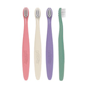 Dr Brown's - Infant - to - Toddler Toothbrush, Pink, 4 - pack Mother & Baby