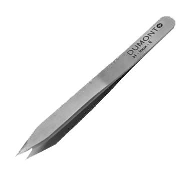 Dumont - H Tweezer 9 Cm (Non - Refundable) Beauty & Personal Care