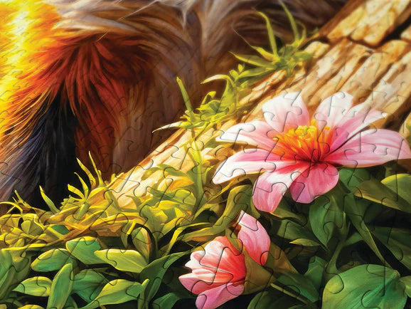 ENJOY - 1000 Piece Puzzle - Curious Fox