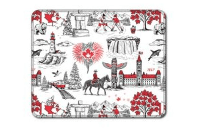 EARTHLY CO - Reusable Paper Towel 10 - PK O So Canada Home & Kitchen