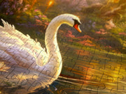 ENJOY - Swan Song Toys & Games