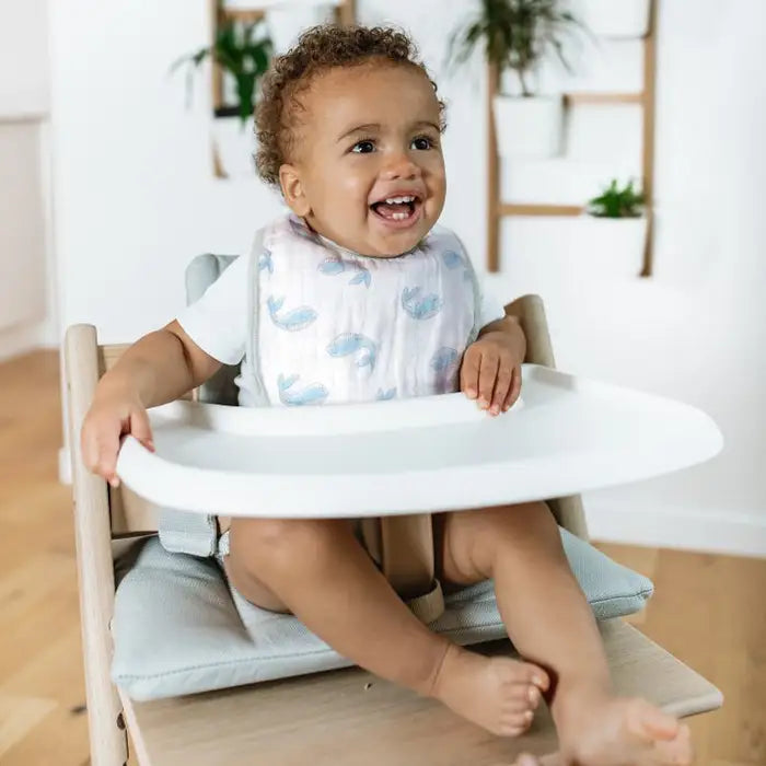 aden + anais - Snap Bibs