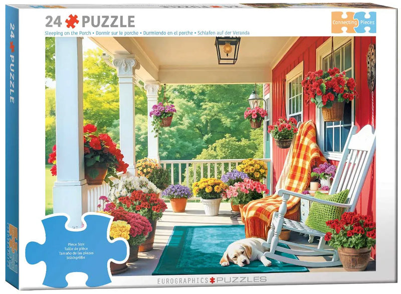 Eurographics - Sleeping on the Porch Cognitive Puzzles