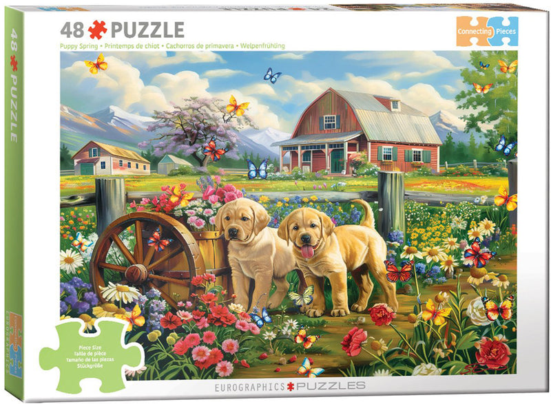 Eurographics - Puppy Spring Cognitive Puzzles