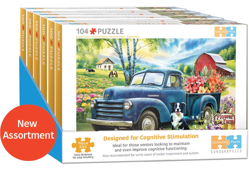 Eurographics - Connecting Pieces - 104 pcs 6 pack Assortment Cognitive Puzzles