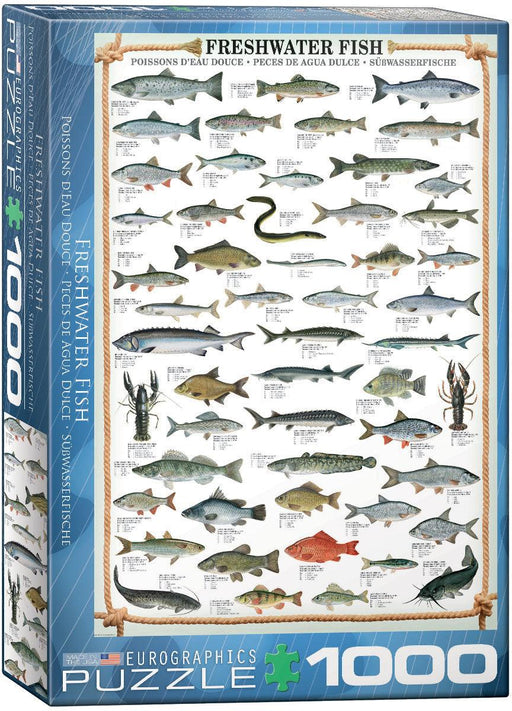 Eurographics - Freshwater Fish (1000-Piece Puzzle) - Limolin 
