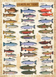 Eurographics - Salmon & Trout (1000-Piece Puzzle)