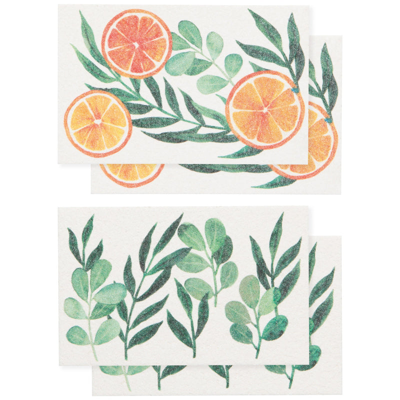 Now Designs - Cedar & Citrus Pop Up Sponges Set of 4 Assorted