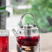 Gefu - Teapot Glass w/insert INFUSA, Home & Kitchen