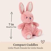 Gund - Oh So Snuggly Little Bunny 6in Toys & Games