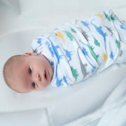 HALO - Micro Fleece Sleepsack Swaddle (3.0 TOG) Mother & Baby Dinos born