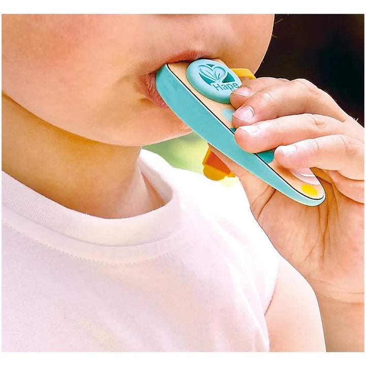 Hape - RHYTHM & HUM POCKET KAZOO (12PCS/DISPLAY) Games & Toys