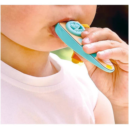 Hape - RHYTHM & HUM POCKET KAZOO (12PCS/DISPLAY) Games & Toys