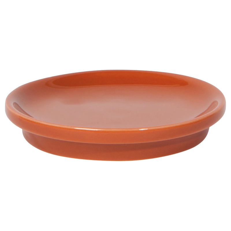 Heirloom - Terracotta Tint Mug Home & Kitchen