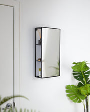 Cubiko Wall & Storage Mirror - image 2
